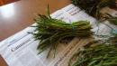 asparagi e spread vezzano sul crostolo